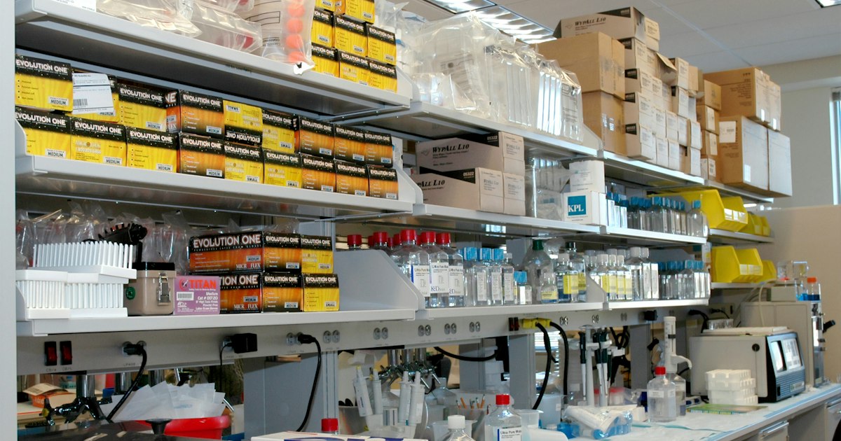 Anti-TPO antibodies above or below normal: causes in athletes and what to do
